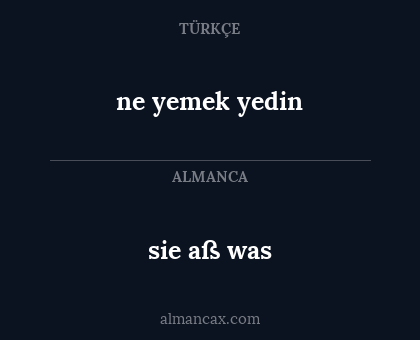 ne yemek yedin - sie aß was
