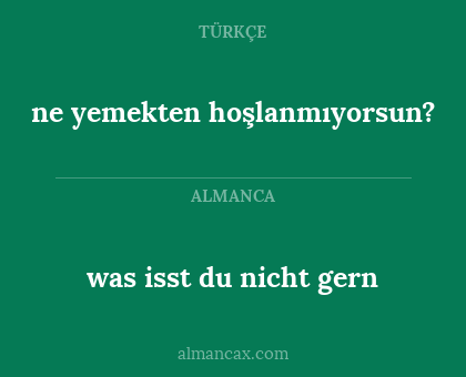 ne yemekten hoşlanmıyorsun? - was isst du nicht gern