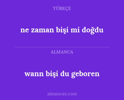 ne zaman bişi mi doğdu - wann bişi du geboren