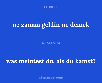 was meintest du, als du kamst? - ne zaman geldin ne demek