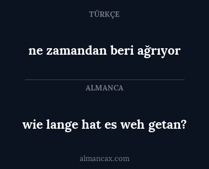 ne zamandan beri ağrıyor - wie lange hat es weh getan?