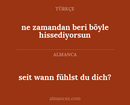 seit wann fühlst du dich? - ne zamandan beri böyle hissediyorsun