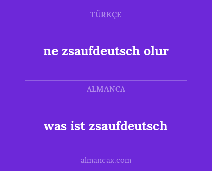 was ist zsaufdeutsch - ne zsaufdeutsch olur