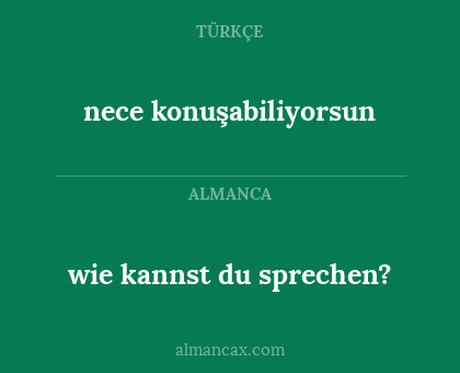 wie kannst du sprechen? - nece konuşabiliyorsun