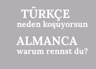 neden+ko%C5%9Fuyorsun-warum+rennst+du%3F.png