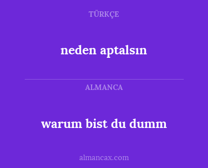 neden aptalsın - warum bist du dumm