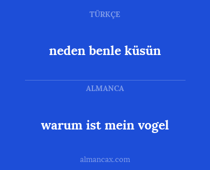 warum ist mein vogel - neden benle küsün