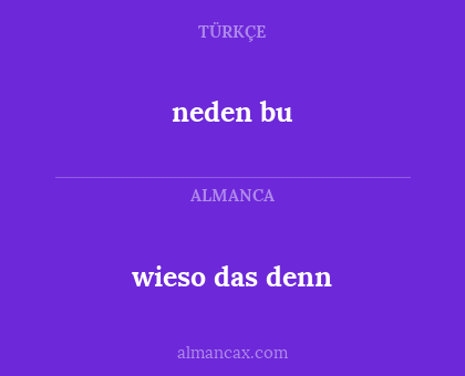neden bu - wieso das denn