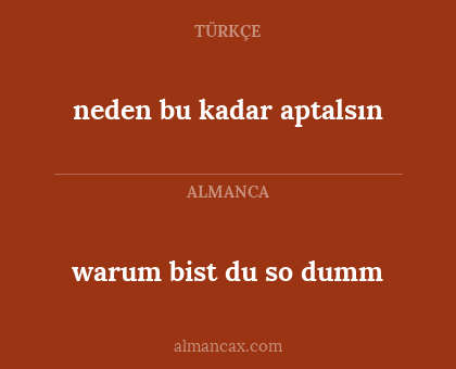 warum bist du so dumm - neden bu kadar aptalsın