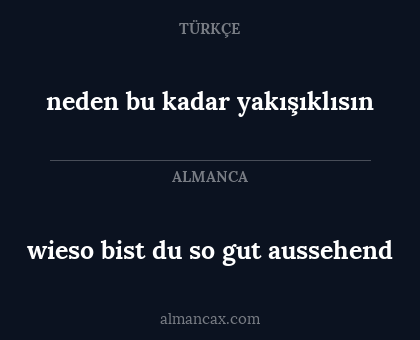 wieso bist du so gut aussehend - neden bu kadar yakışıklısın