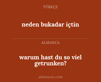 neden bukadar içtin - warum hast du so viel getrunken?