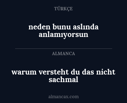 neden bunu aslında anlamıyorsun - warum versteht du das nicht sachmal
