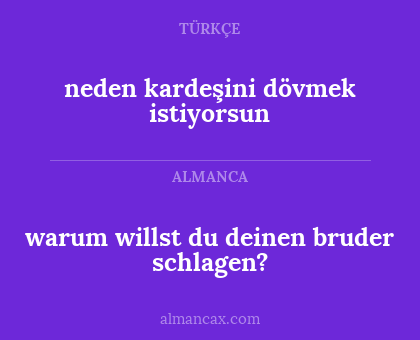 warum willst du deinen bruder schlagen? - neden kardeşini dövmek istiyorsun