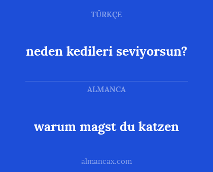neden kedileri seviyorsun? - warum magst du katzen