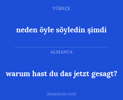 neden öyle söyledin şimdi - warum hast du das jetzt gesagt?