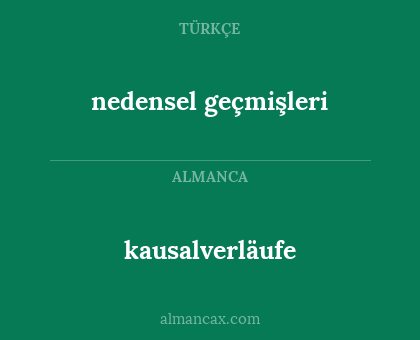 kausalverläufe - nedensel geçmişleri