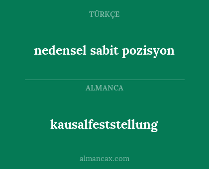 nedensel sabit pozisyon - kausalfeststellung