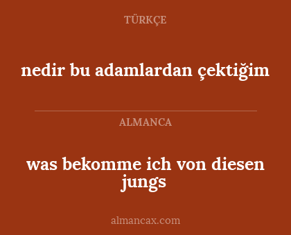 was bekomme ich von diesen jungs - nedir bu adamlardan çektiğim