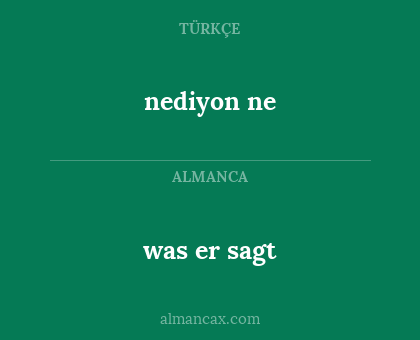 nediyon ne - was er sagt