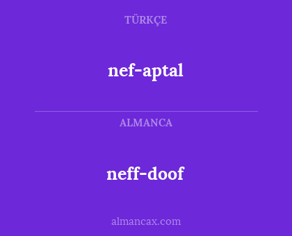 nef-aptal - neff-doof
