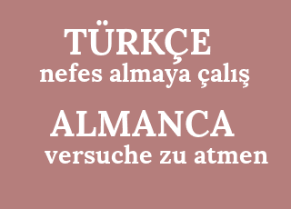 nefes+almaya+%C3%A7al%C4%B1%C5%9F-versuche+zu+atmen.png