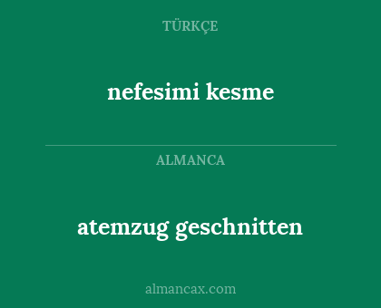 atemzug geschnitten - nefesimi kesme