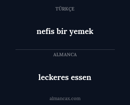 leckeres essen - nefis bir yemek