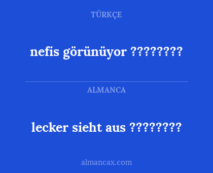 lecker sieht aus ???????? - nefis görünüyor ????????
