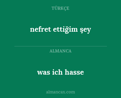 nefret ettiğim şey - was ich hasse