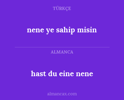 nene ye sahip misin - hast du eine nene
