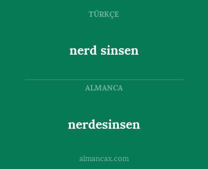 nerdesinsen - nerd sinsen