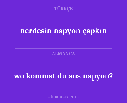 wo kommst du aus napyon? - nerdesin napyon çapkın