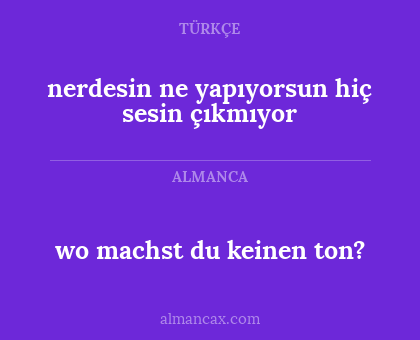 nerdesin ne yapıyorsun hiç sesin çıkmıyor - wo machst du keinen ton?