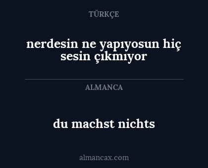 nerdesin ne yapıyosun hiç sesin çıkmıyor - du machst nichts