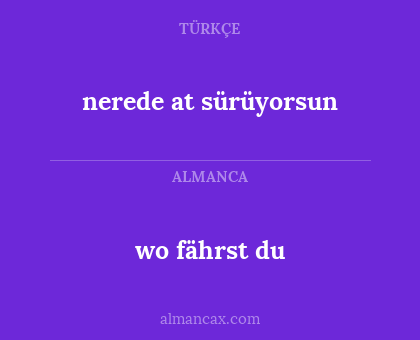 nerede at sürüyorsun - wo fährst du