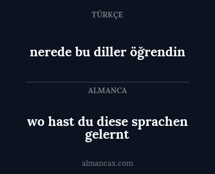 nerede bu diller öğrendin - wo hast du diese sprachen gelernt