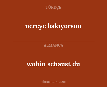 wohin schaust du - nereye bakıyorsun