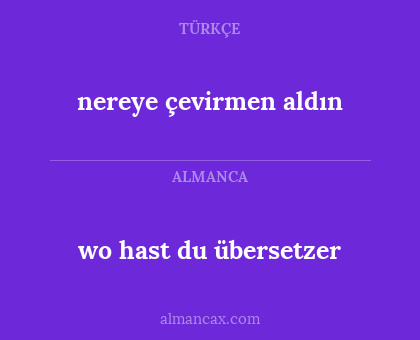nereye çevirmen aldın - wo hast du übersetzer