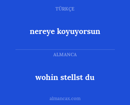 nereye koyuyorsun - wohin stellst du