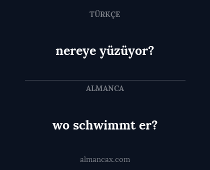 nereye yüzüyor? - wo schwimmt er?
