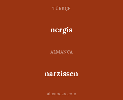 nergis - narzissen