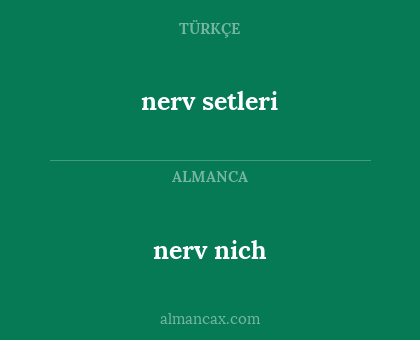 nerv nich - nerv setleri
