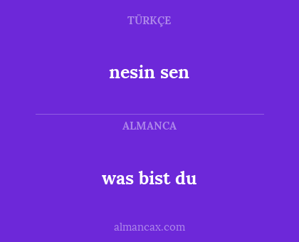 was bist du - nesin sen