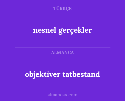 nesnel gerçekler - objektiver tatbestand