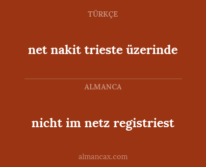 net nakit trieste üzerinde - nicht im netz registriest