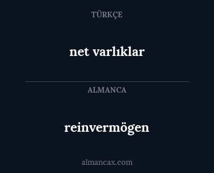 reinvermögen - net varlıklar