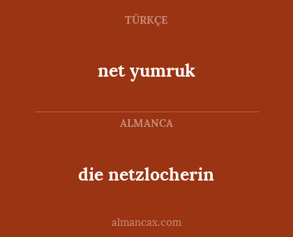 net yumruk - die netzlocherin