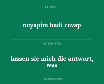lassen sie mich die antwort, was - neyapim hadi cevap