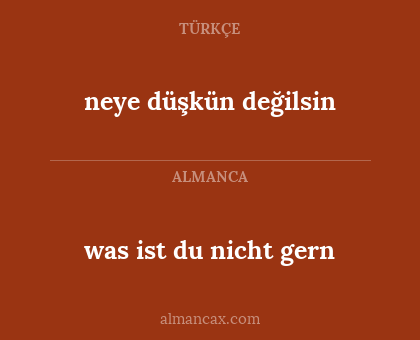 was ist du nicht gern - neye düşkün değilsin