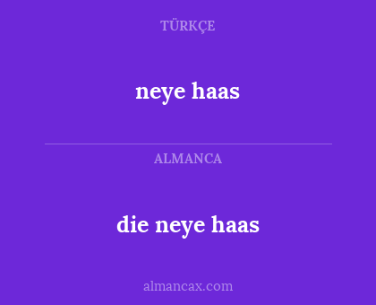 die neye haas - neye haas